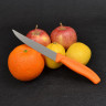 Нож для стейков VICTORINOX 6.7936.12L9